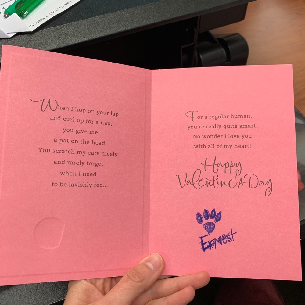 Only my cat sends valentines - Picture 2 of 9